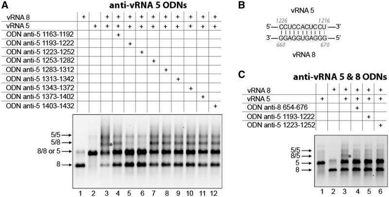 Figure 7.