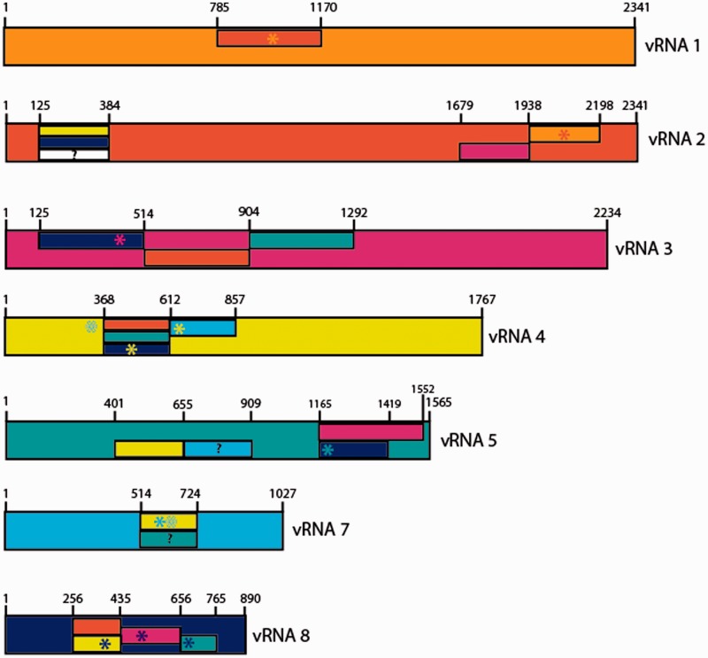 Figure 5.