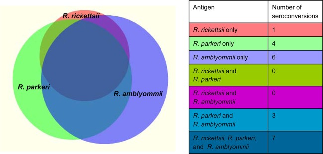 FIG 1