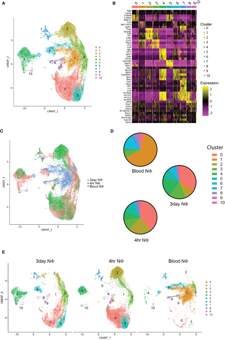 Figure 2