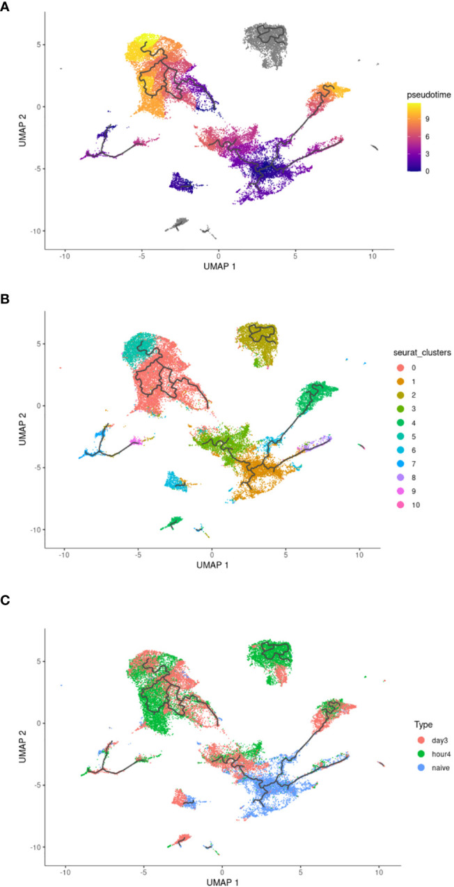 Figure 4