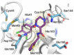 Figure 41