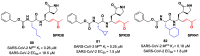 Figure 51