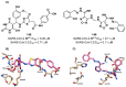 Figure 75