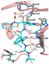 Figure 31