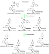Figure 77