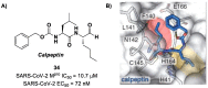 Figure 22