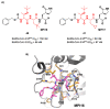 Figure 24