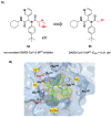 Figure 35