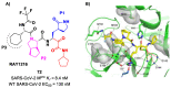 Figure 45