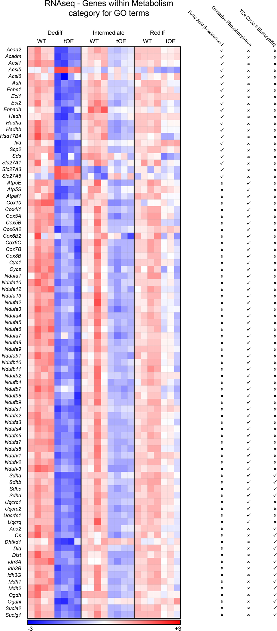 Extended Data Fig. 4 |