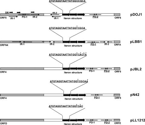 FIG. 4.