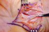 Figure 7)