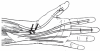 Figure 4)