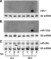 FIG. 8.