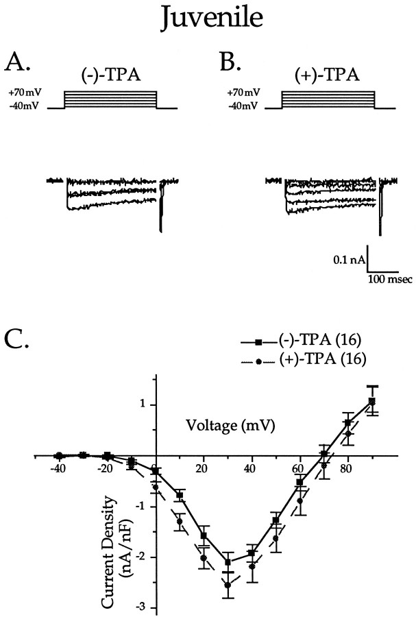 Fig. 14.