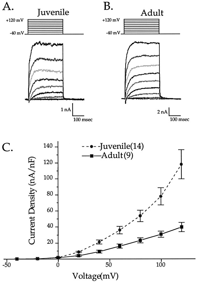 Fig. 8.