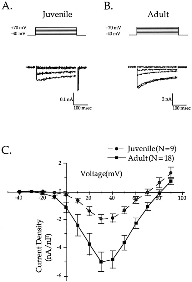 Fig. 12.