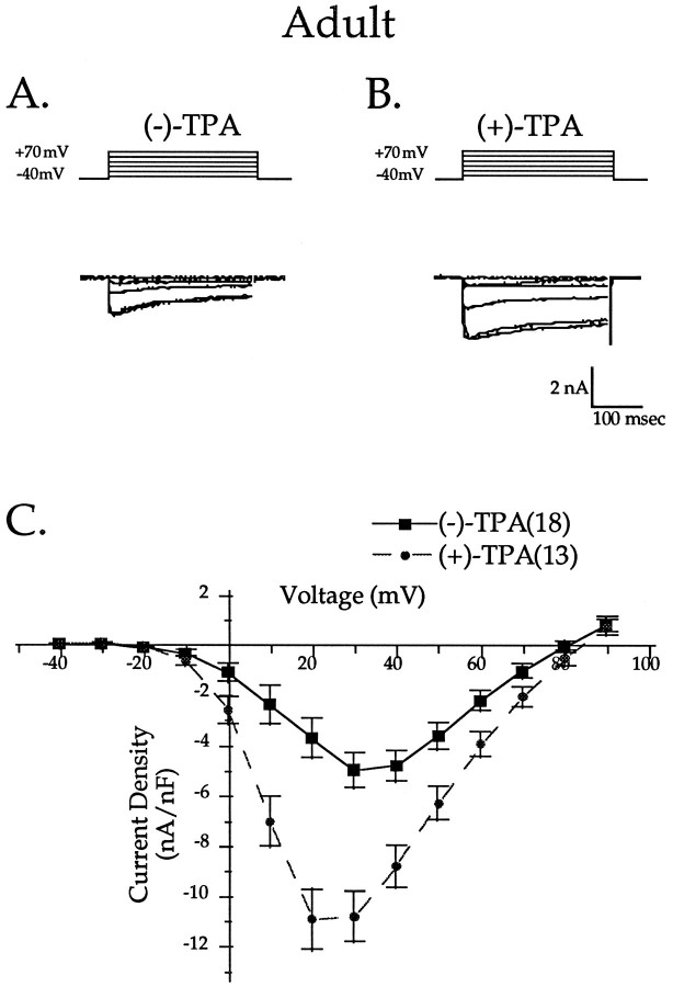 Fig. 13.