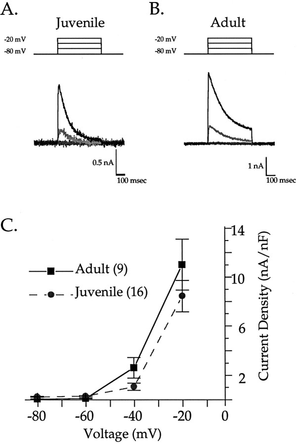 Fig. 11.