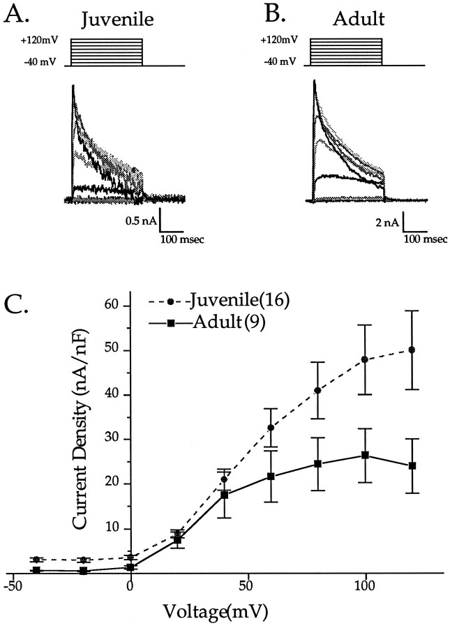 Fig. 9.