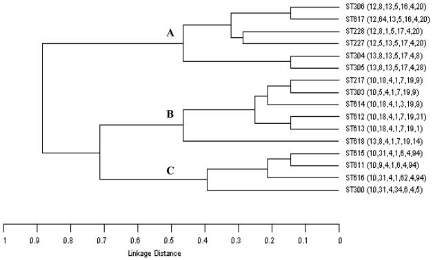 FIG. 1.