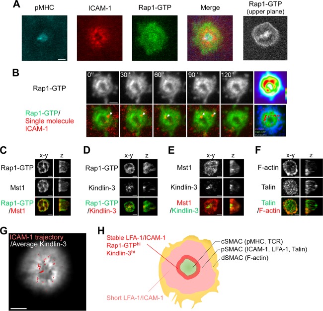 FIG 3