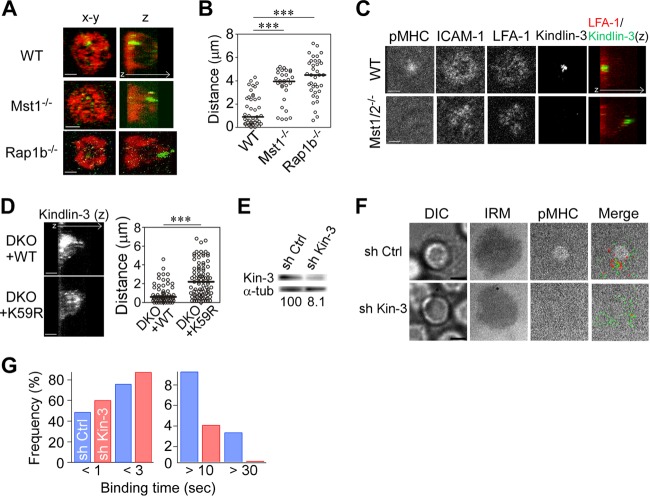 FIG 4