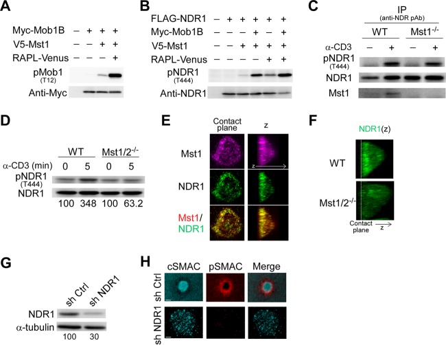 FIG 6