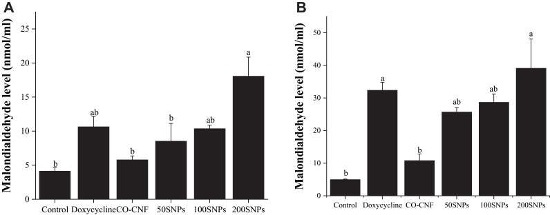 Figure 13