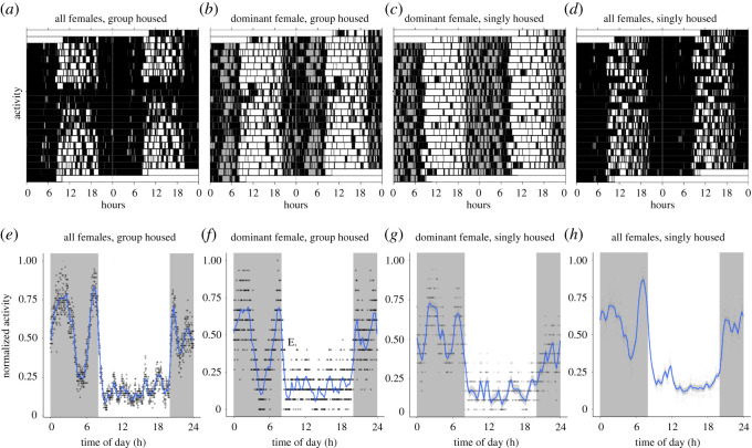 Figure 3. 