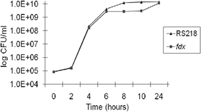 FIG. 2.