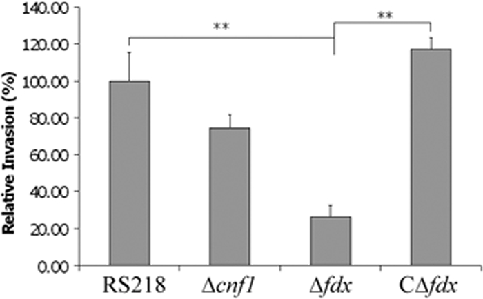 FIG. 5.