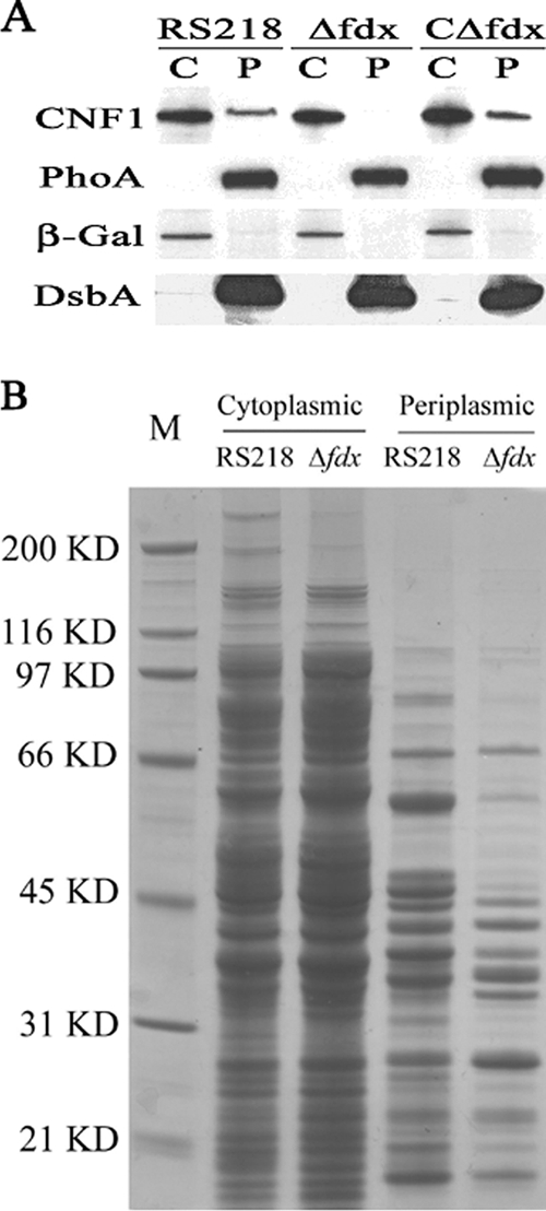 FIG. 4.