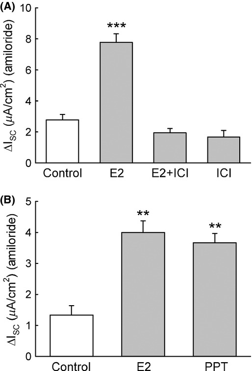 Figure 9.