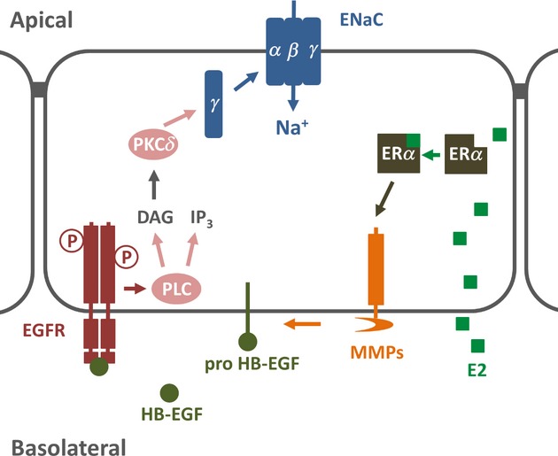 Figure 18.