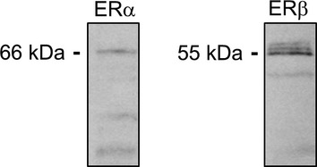 Figure 14.