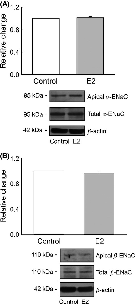 Figure 12.