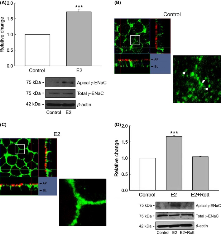 Figure 13.