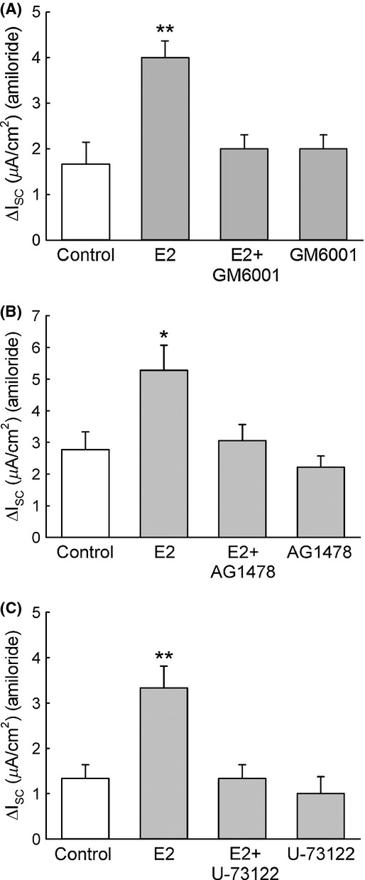 Figure 10.