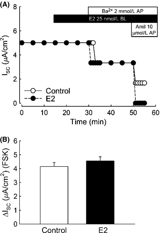 Figure 15.