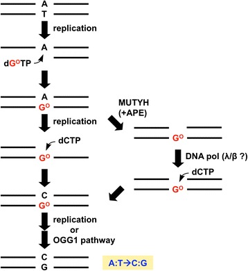 Fig. 2