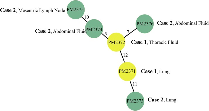 Fig. 3