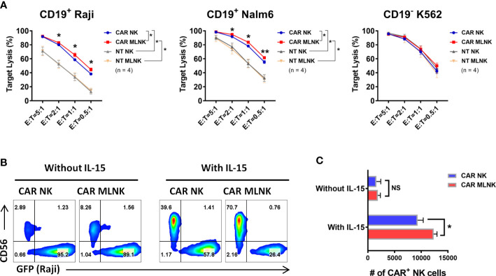 Figure 4