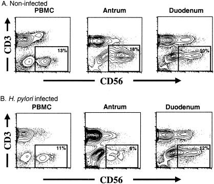 FIG. 1.