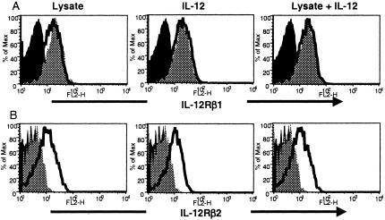 FIG. 8.