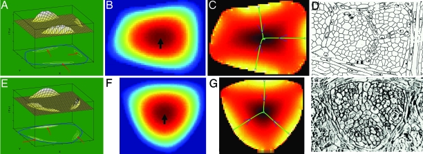 Fig. 4.