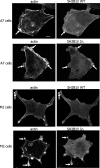 Fig. 9.