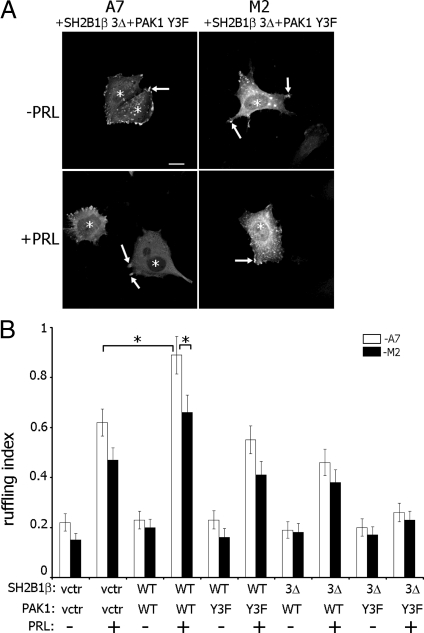 Fig. 10.