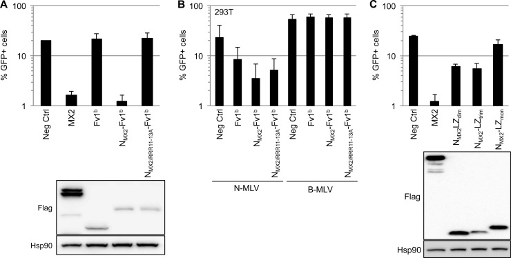 FIG 4